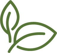 Aceite de variedad picual